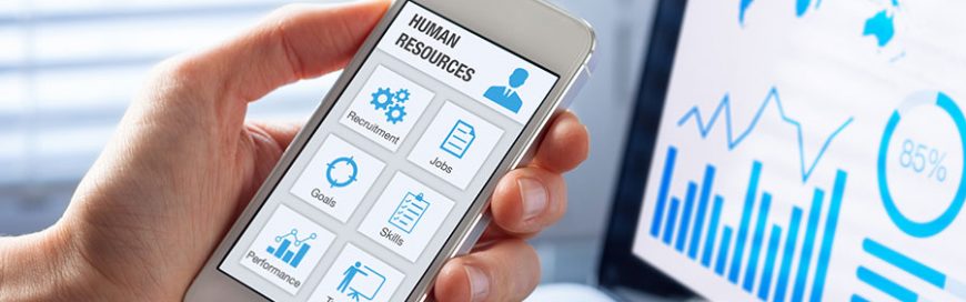 How to optimize Office 365